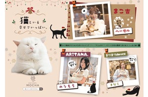 福岡県初出店、おしゃれで話題の「猫カフェMOCHA」がイオンモール 福岡県初出店、おしゃれで話題の「猫カフェMOCHA」がイオンモール