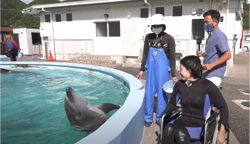 観光庁事業オンラインツアー 実際の配信映像（室戸ドルフィンセンター）