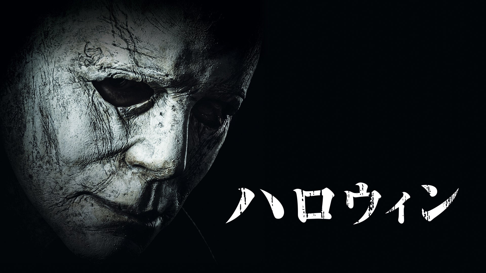 © 2018 Night Blade Holdings LLC. All Rights Reserved.