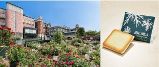 プレゼントイメージ