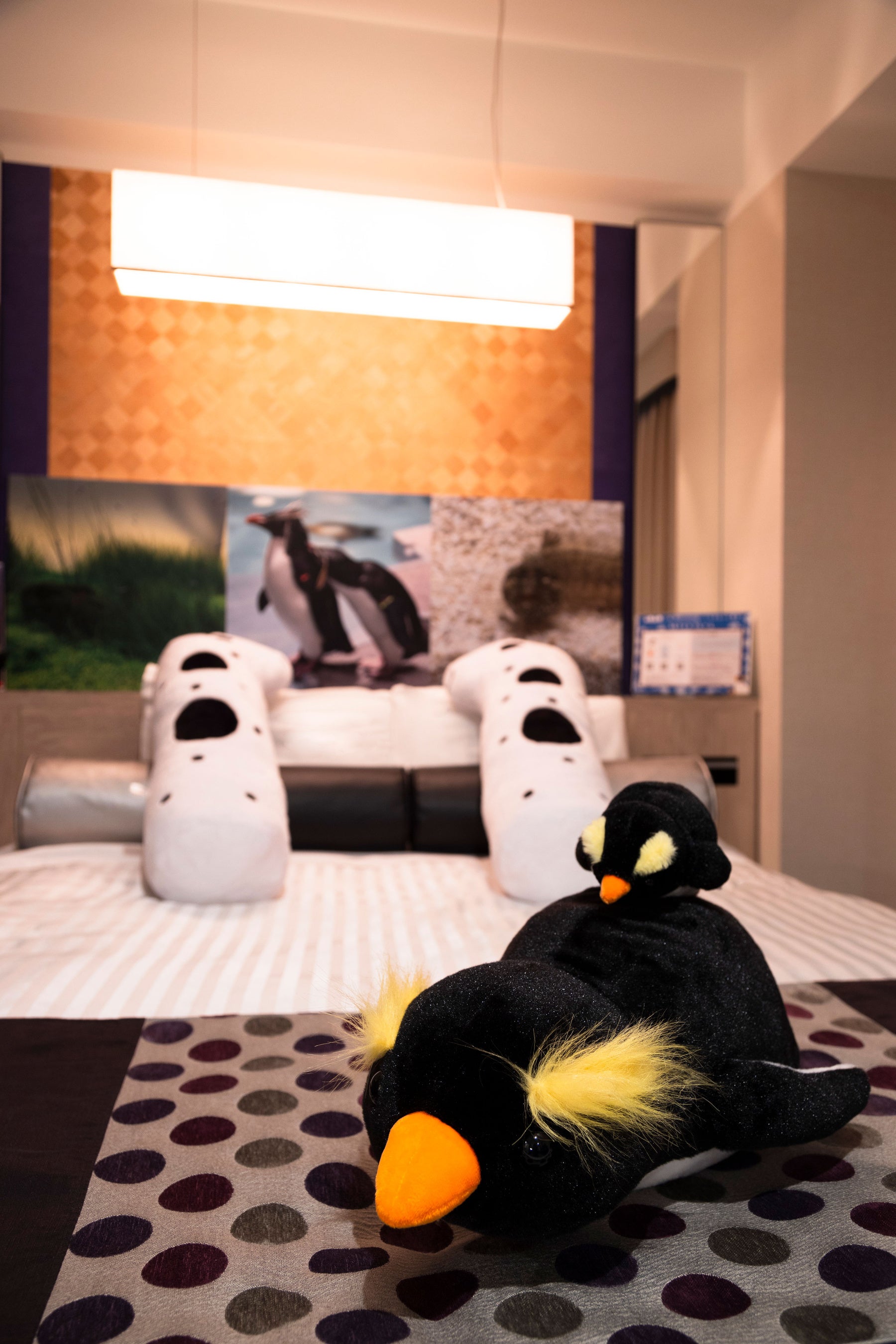 コンセプトルーム-5