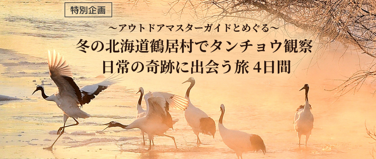 タンチョウ　★