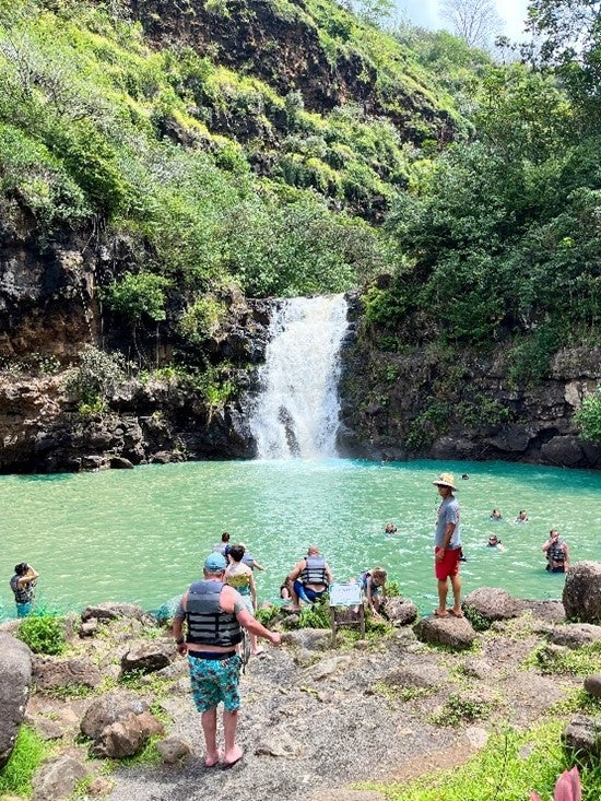 海も山も！ハワイの自然を体感する旅（イメージ）