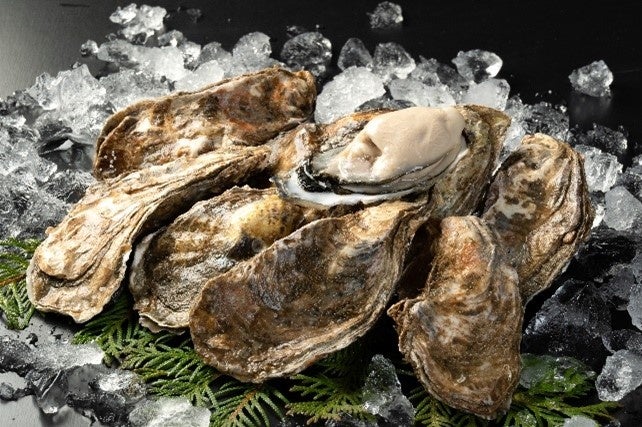 殻牡蠣10個セットのイメージ