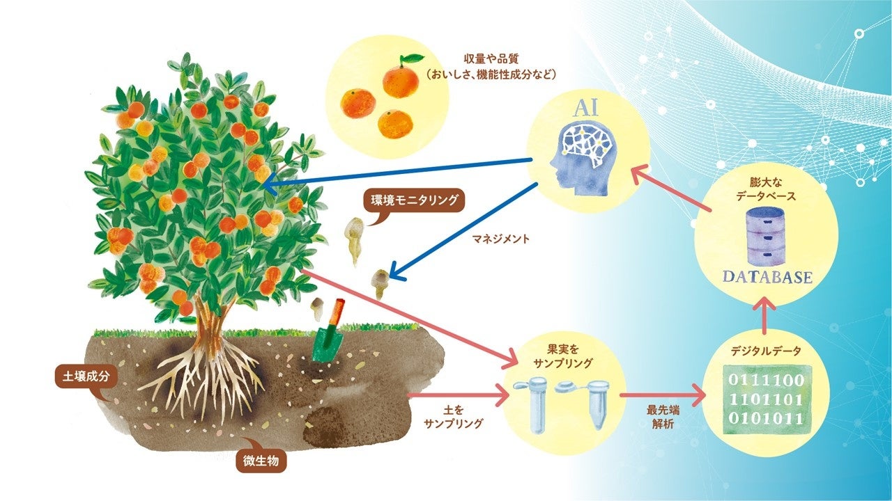 ネイチャーポジティブな環境再生型農業の実現に向けて農業のデジタルツインに関するオープンイノベーションでの共同研究を開始 Ntt西日本のプレスリリース ネイチャーポジティブな環境再生型農業の実現に向けて農業のデジタルツインに関するオープンイノベーションでの共同研究を開始 Ntt西日本のプレスリリース