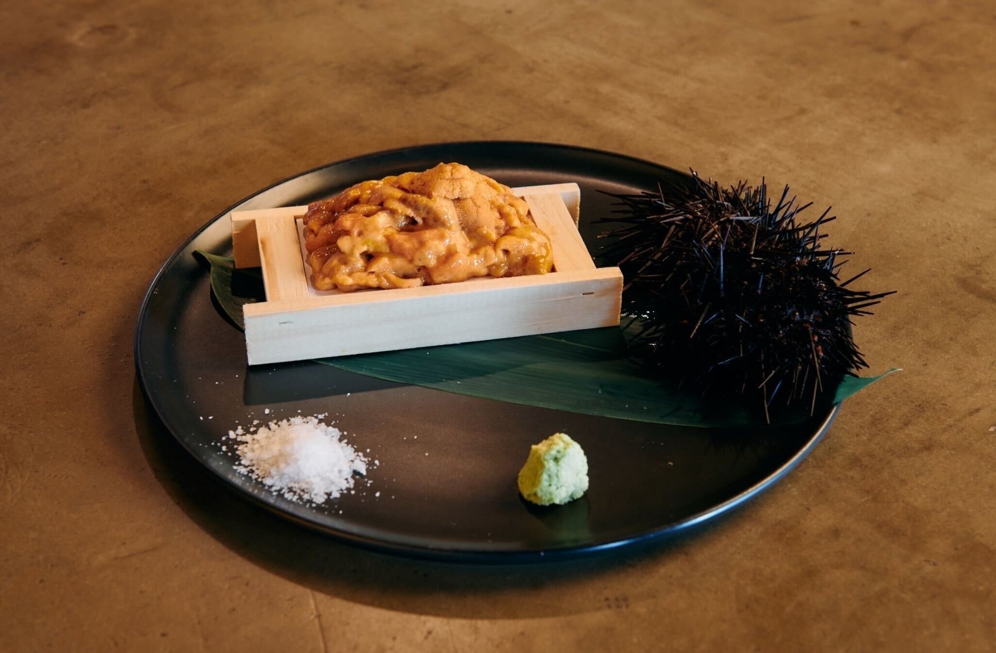 本日の特選特上ウニのお刺身