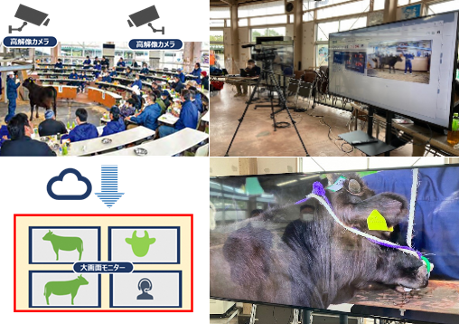 セリ市のイメージ