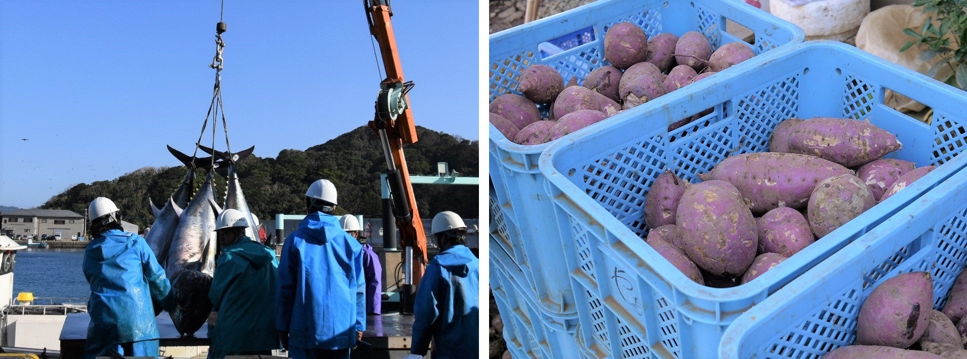 「島ならではの仕事もたくさんあります！」