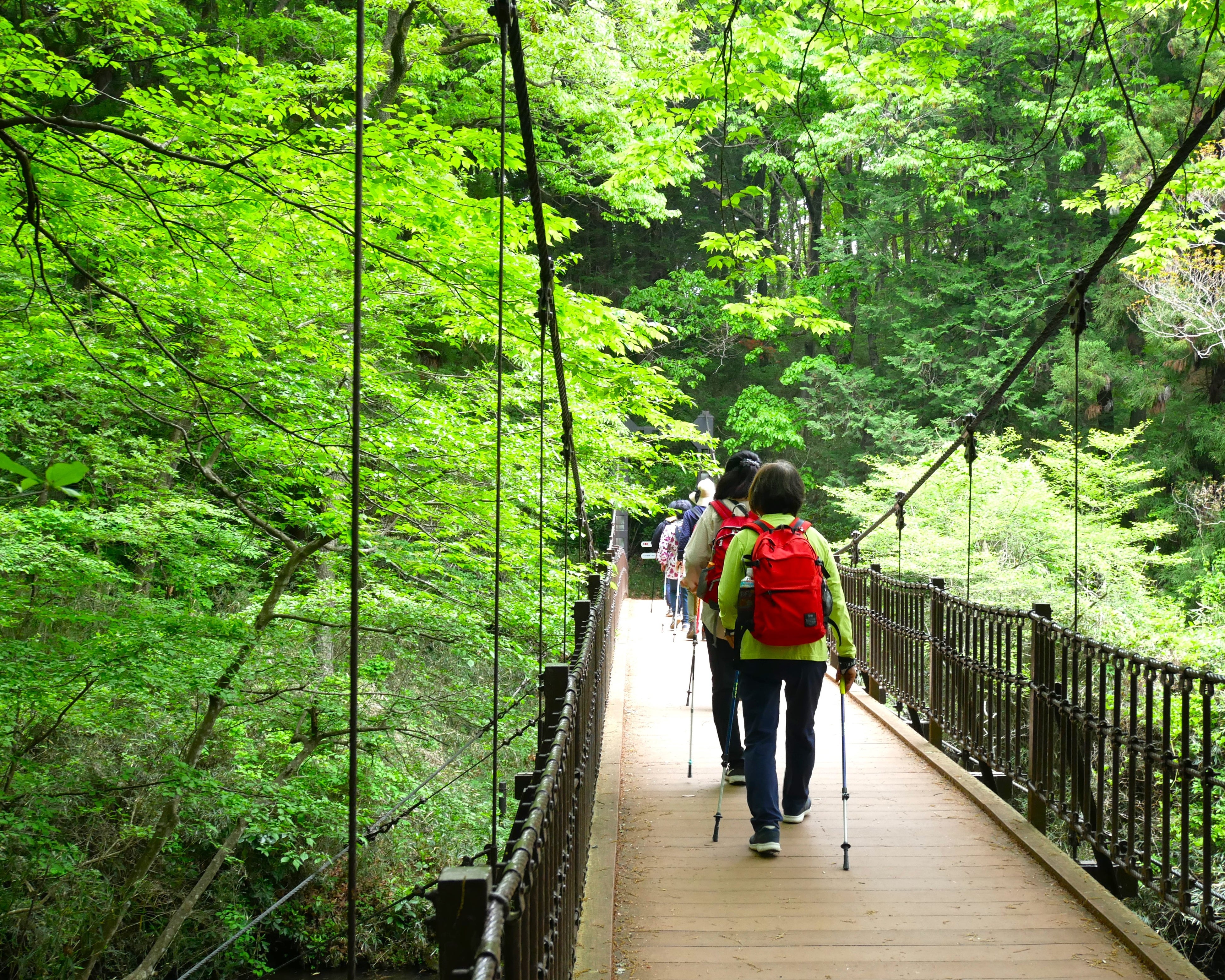 ※画像は2023年4月「ノルディックウォーキング体験」開催状況です。