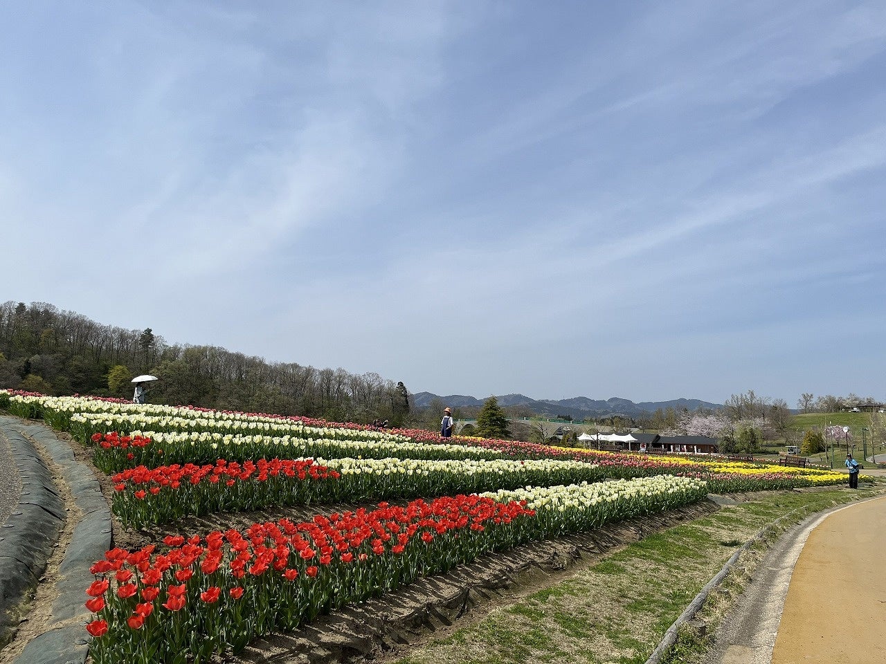 本年4月15日撮影