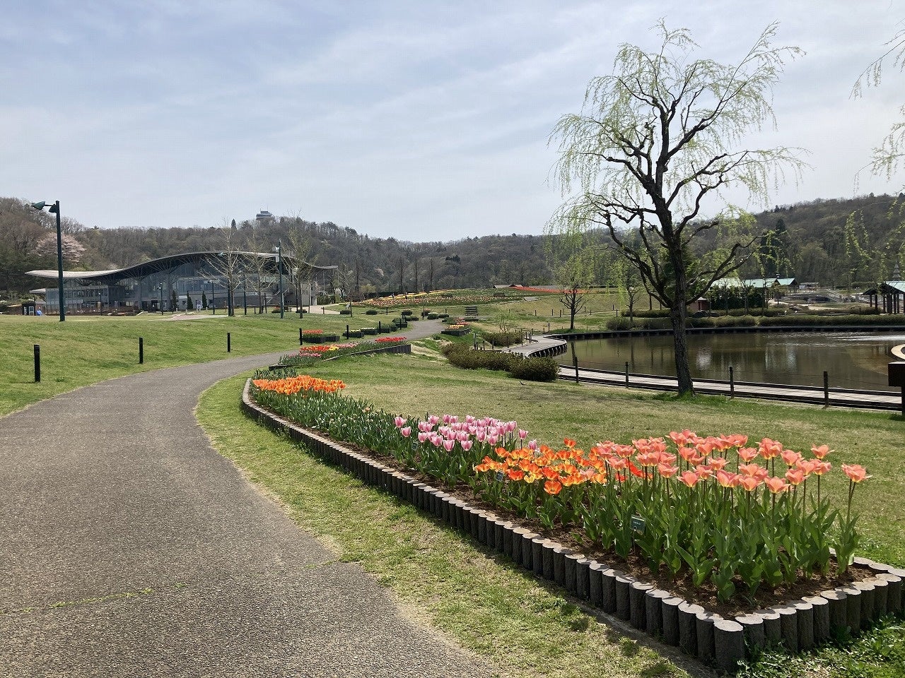 本年4月15日撮影