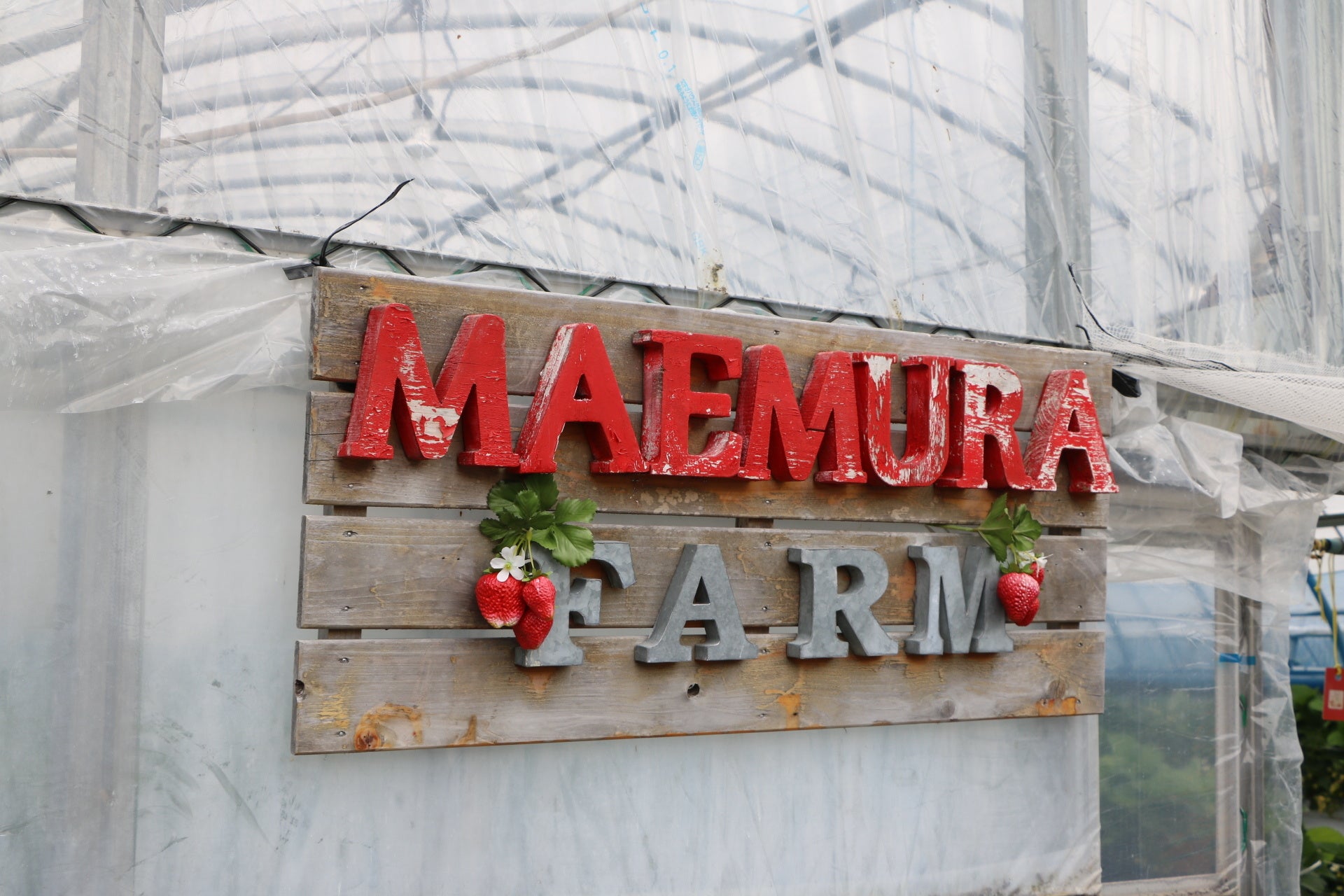 マエムラファーム