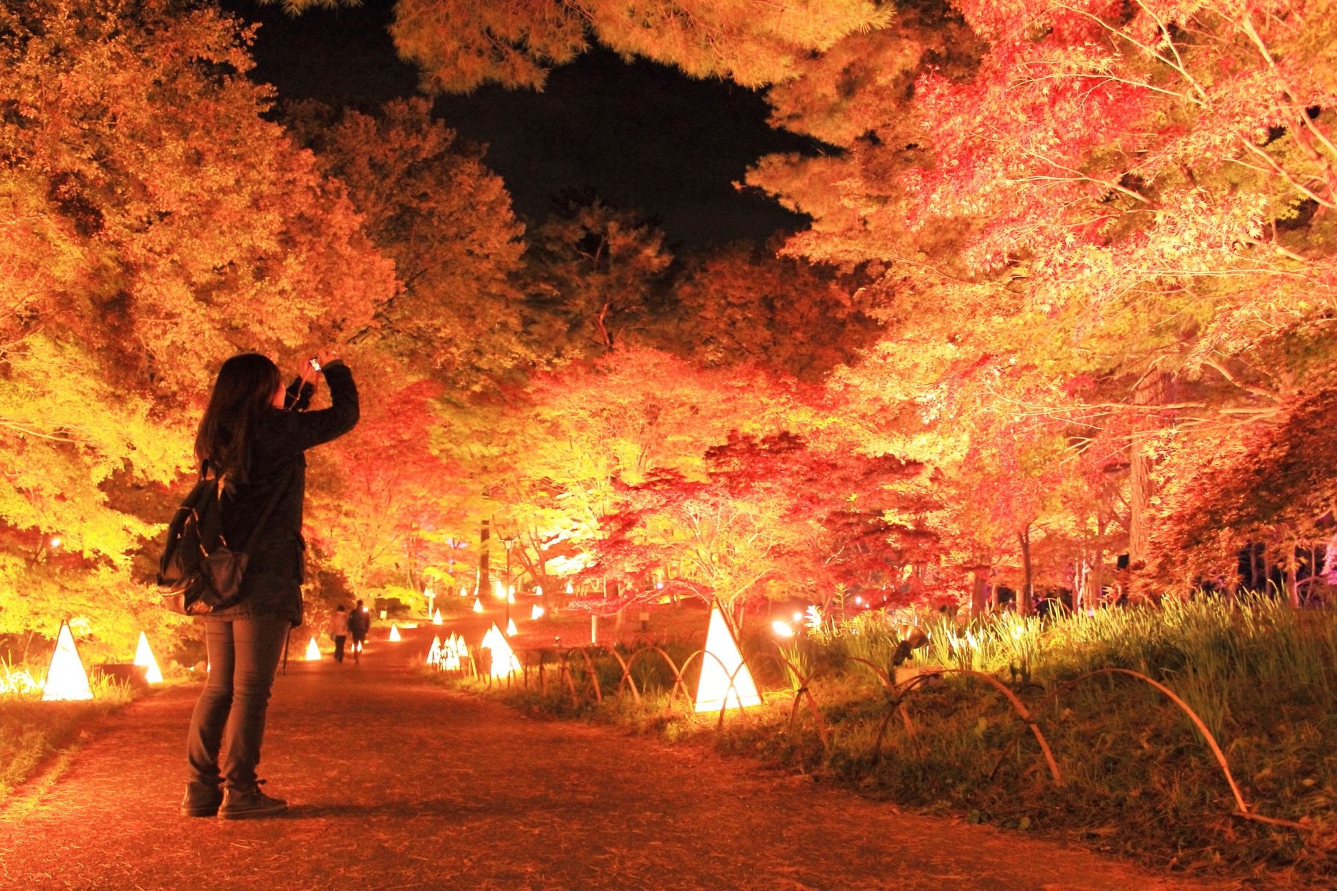 森林公園フォトコンテスト応募作品