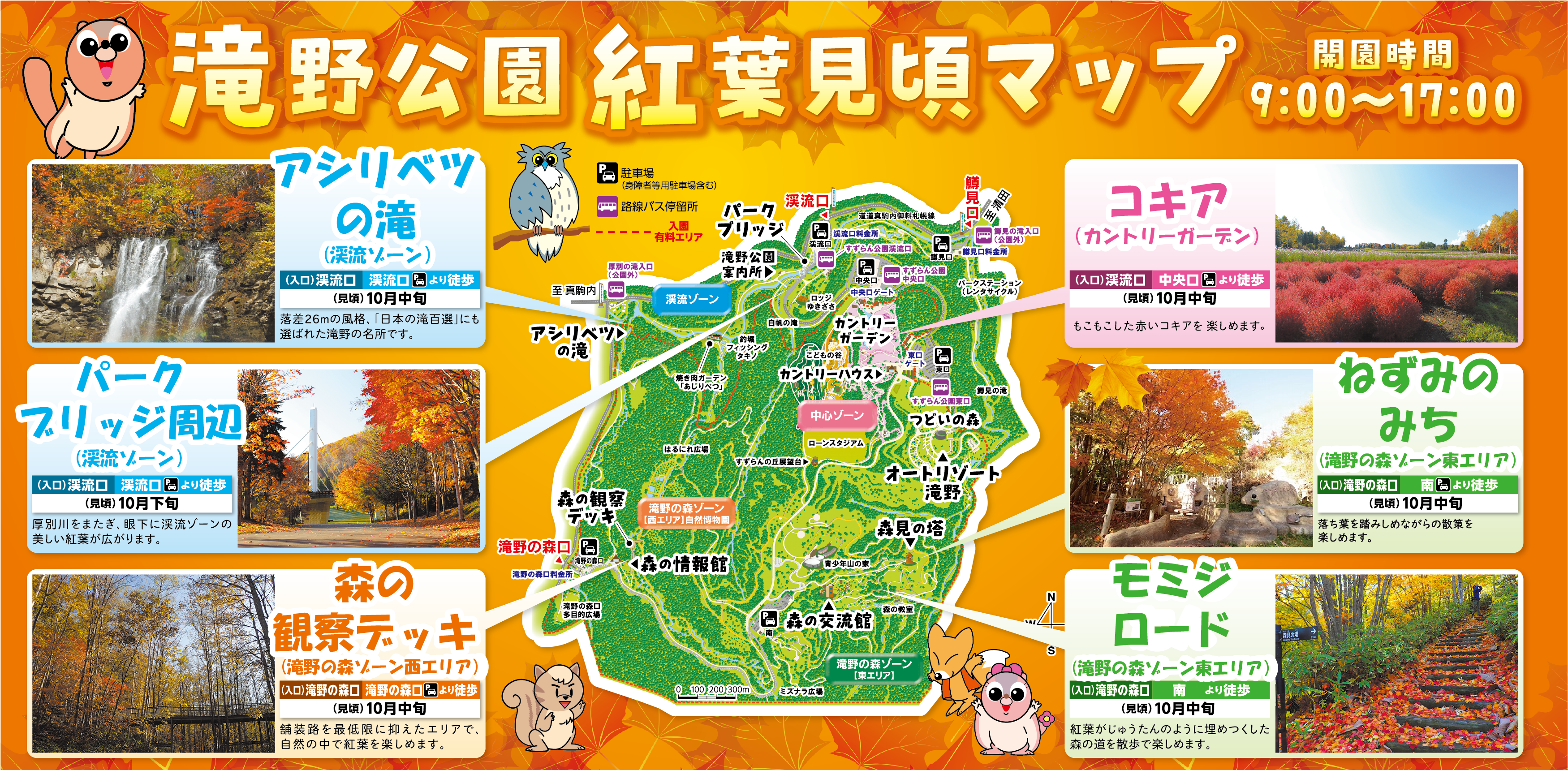 紅葉いよいよ見頃！＆『たきの紅葉まつり』10/26（日）まで開催中！【滝野すずらん丘陵公園】