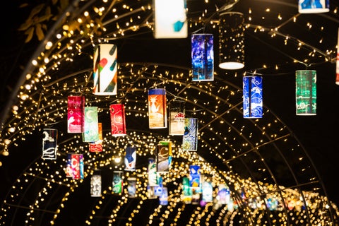 国営讃岐まんのう公園でウィンターファンタジー開催中! 国営讃岐まんのう公園でウィンターファンタジー開催中!