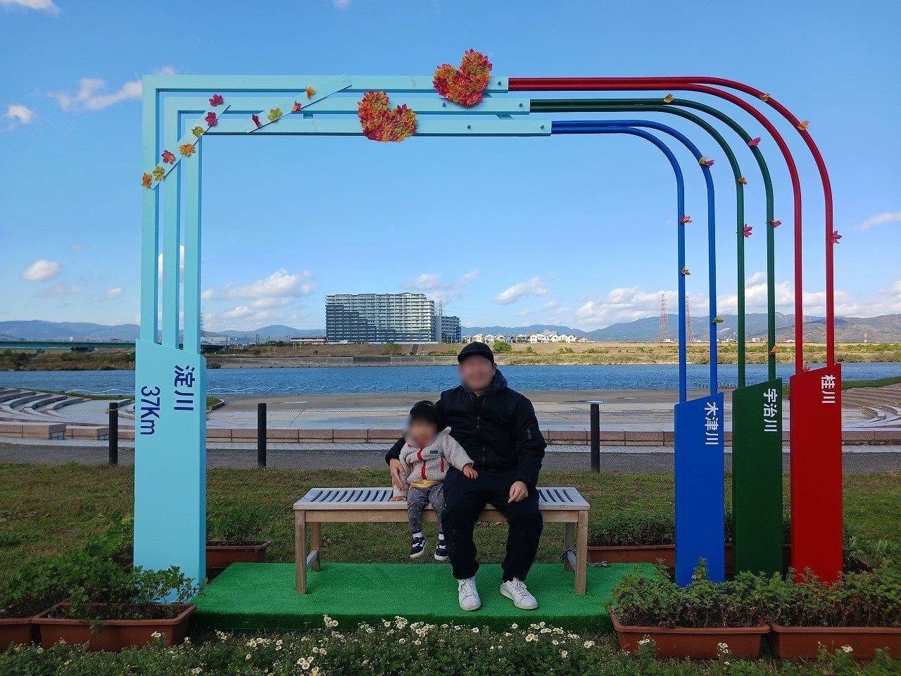 枚方市の花"キク"のフォトスポット期間限定で登場！(淀川河川公園)