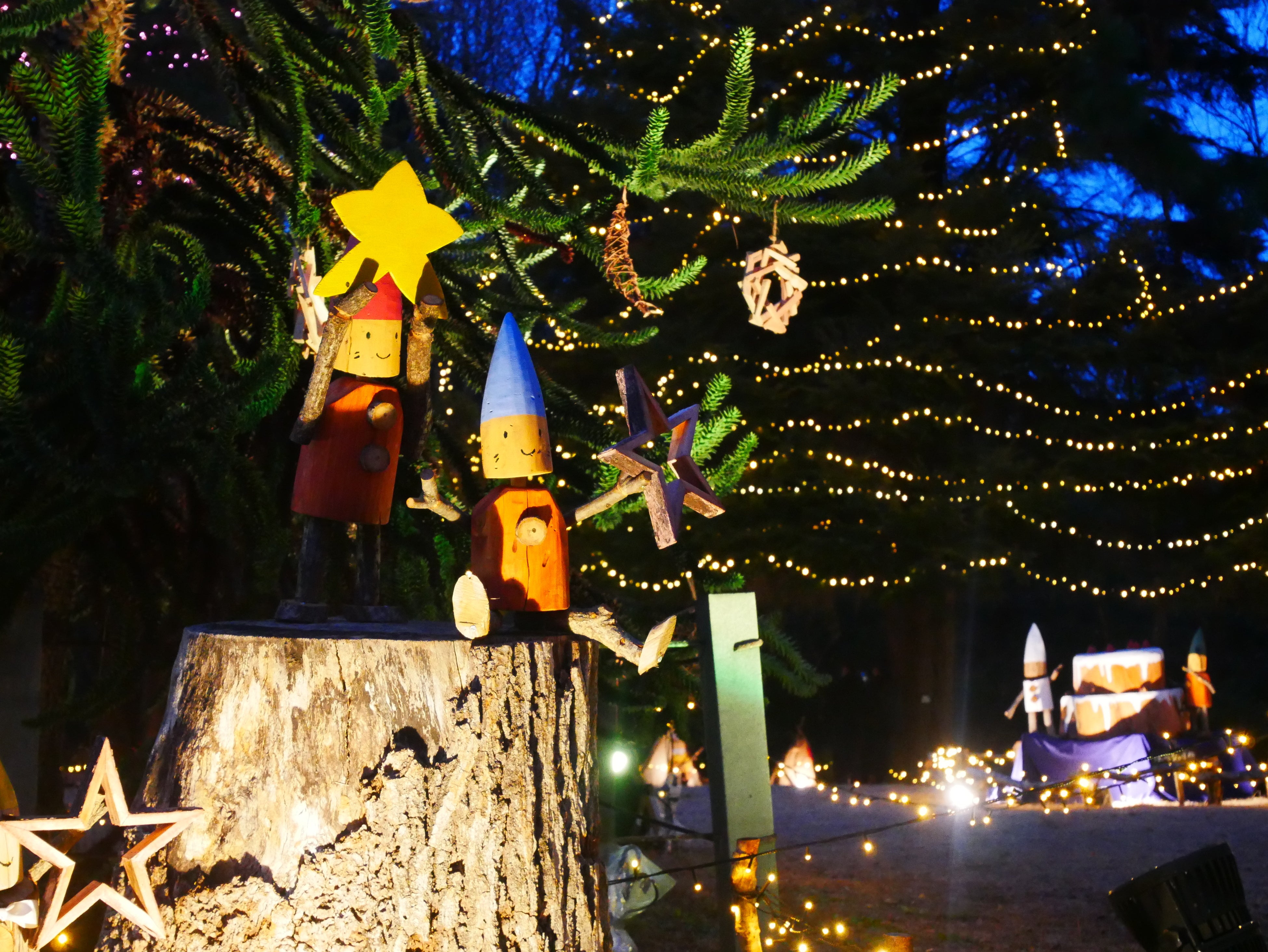 『スターライトイルミネーション』まもなく開催（国営武蔵丘陵森林公園）