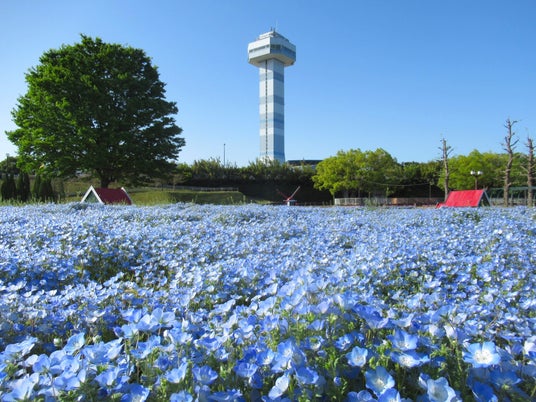「春の花物語」開催(国営木曽三川公園 木曽三川公園センター) 「春の花物語」開催(国営木曽三川公園 木曽三川公園センター)