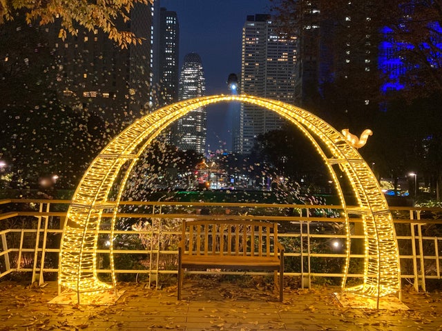 新宿中央公園でキャンドルナイト&ハンドベルコンサート開催! 新宿中央公園でキャンドルナイト&ハンドベルコンサート開催!