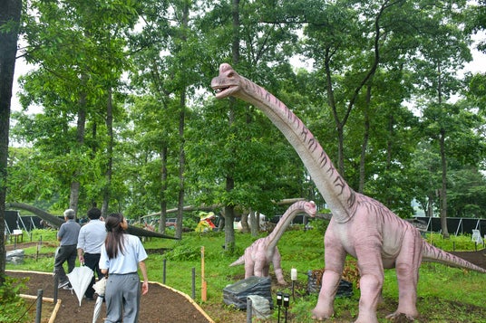 東北初上陸!ダイナソーアドベンチャーツアー 大恐竜パークみちのく公園 2026年7月18日(土)より開催(国営みちのく杜の湖畔公園) 東北初上陸!ダイナソーアドベンチャーツアー 大恐竜パークみちのく公園 2026年7月18日(土)より開催(国営みちのく杜の湖畔公園)