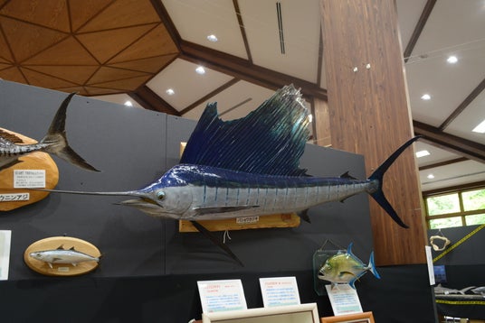 レアな深海魚や危険な魚がいっぱい!魚魚展開催中!【国営アルプスあづみの公園 堀金・穂高地区】 レアな深海魚や危険な魚がいっぱい!魚魚展開催中!【国営アルプスあづみの公園 堀金・穂高地区】