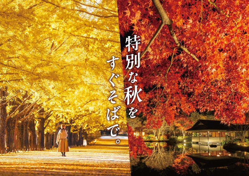 東京臨海副都心(台場・青海・有明)を巡る体験型謎解きイベント「メガマウっさんと謎解き大冒険」10月10日(土)より開催