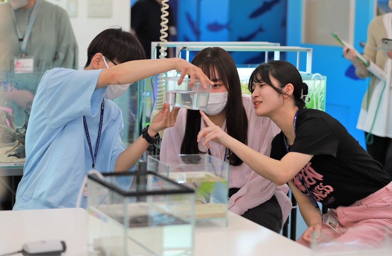 メダカのオス・メスの違いや正しい水換えの仕方を学ぶ