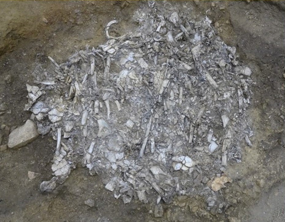 焼人骨集積土坑の調査状況
