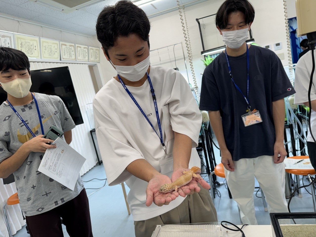 国際こども・福祉カレッジと国際ペットワールド専門学校の共同授業の様子