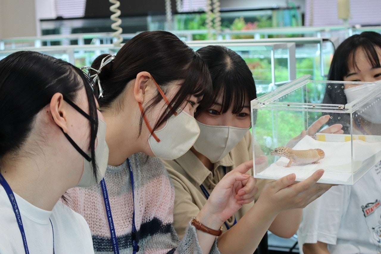 国際ペットワールド専門学校の「動物介在教育」