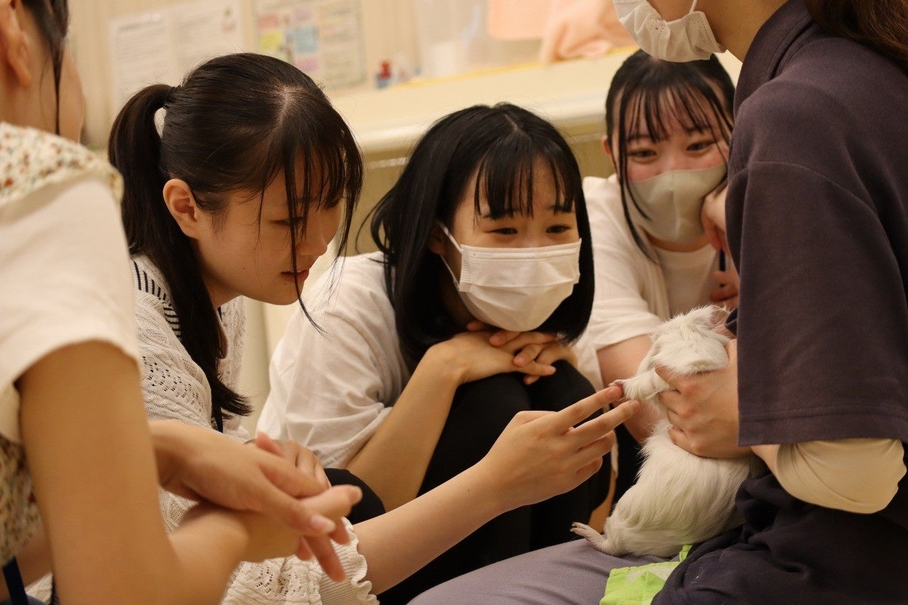 国際こども・福祉カレッジの学生が国際ペットワールド専門学校でのコラボ授業を受ける様子
