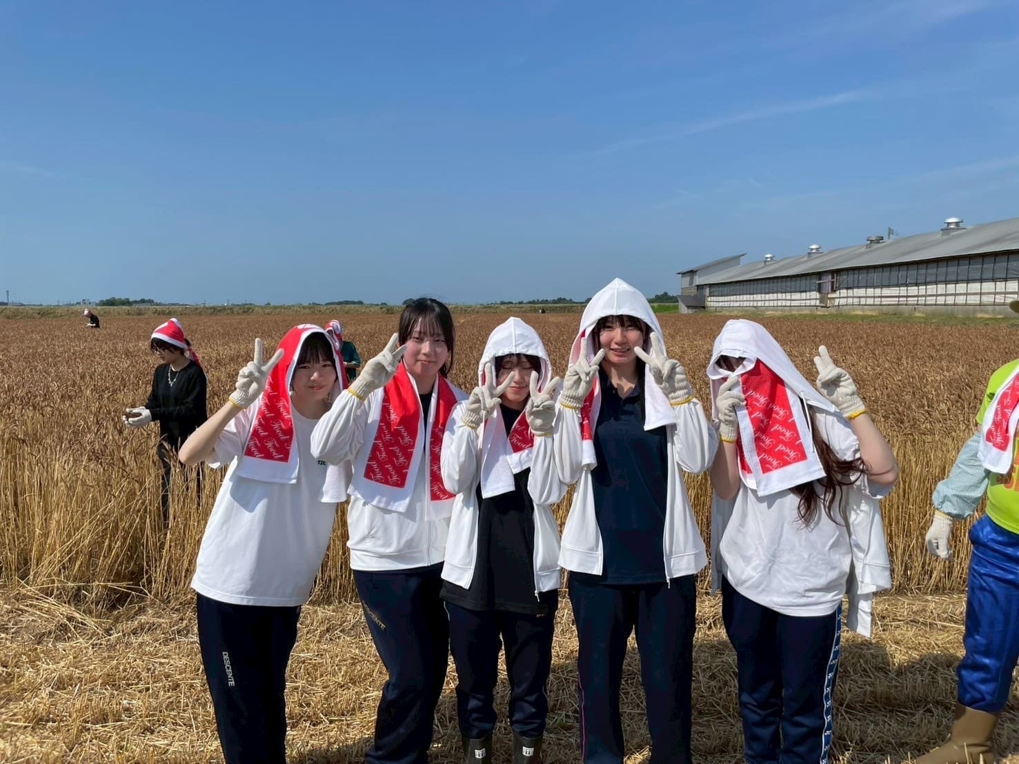 新潟県西蒲原郡弥彦村の小麦畑の前でピースをする国際調理製菓専門学校の学生たち