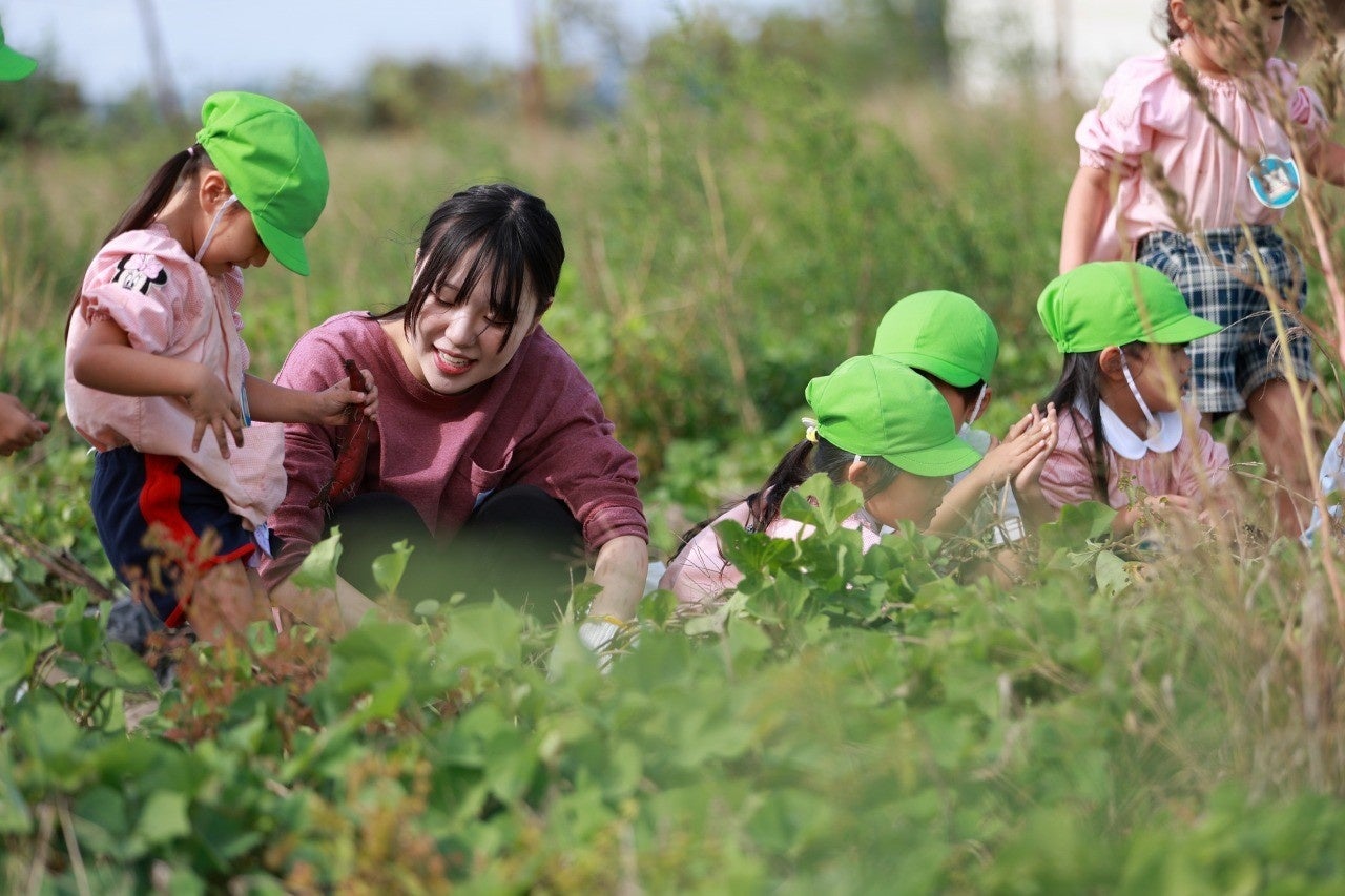 国際こども・福祉カレッジの学生が株式会社ベジ・アビオの圃場で藤見幼稚園のこどもたちと一緒に芋掘り体験をした様子