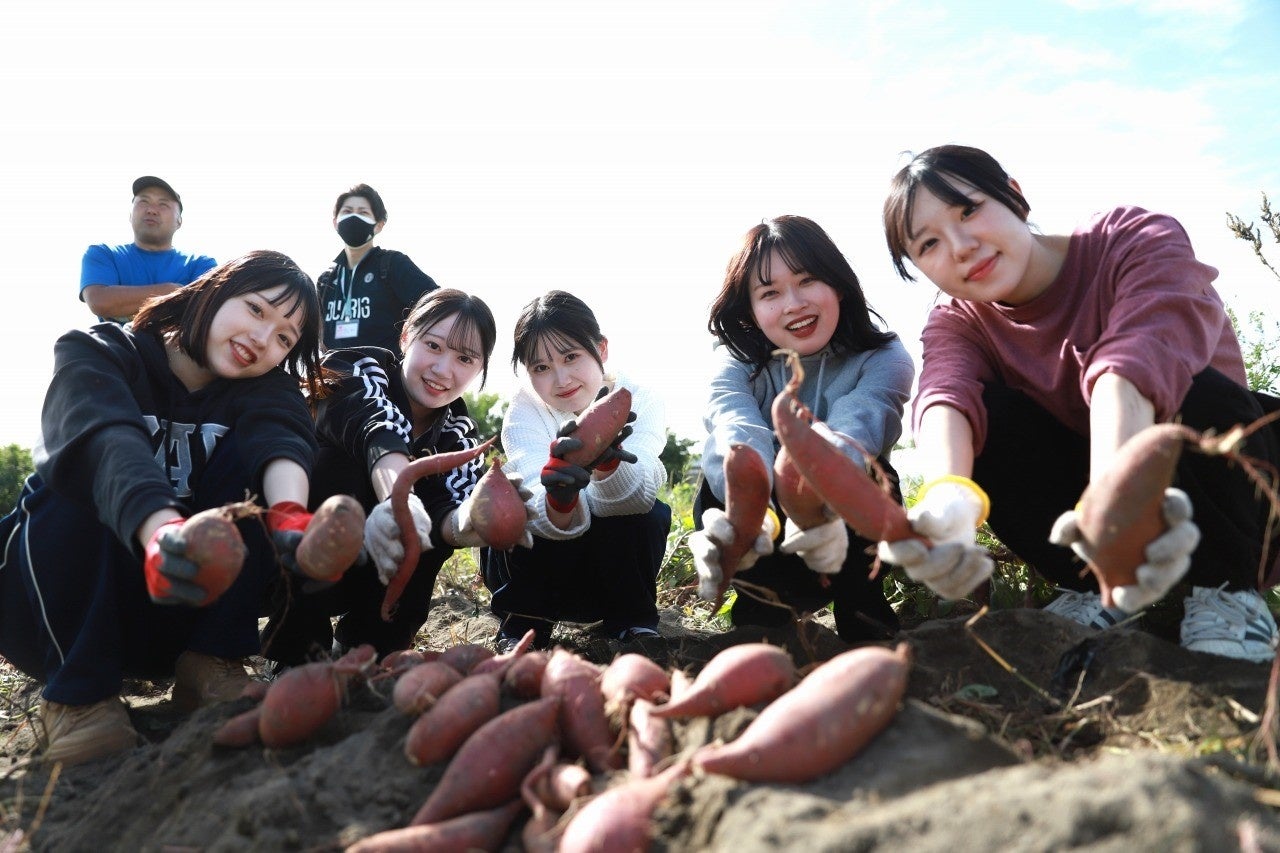 国際こども・福祉カレッジの学生が株式会社ベジ・アビオの圃場で藤見幼稚園のこどもたちと一緒に芋掘り体験をした様子