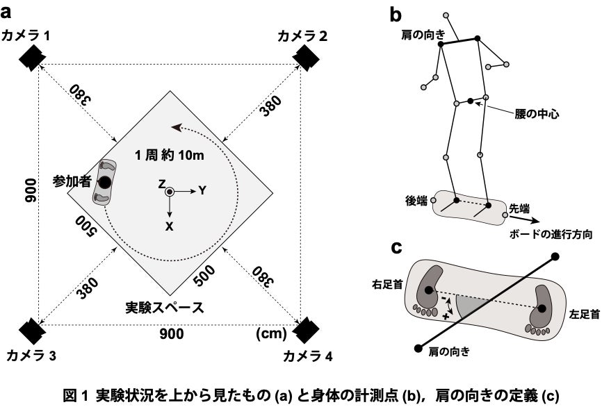 龍谷大学経・大阪体育大学・新潟医療福祉大学が共同で行った、キャスターボードの習得過程に関する研究のイメージ