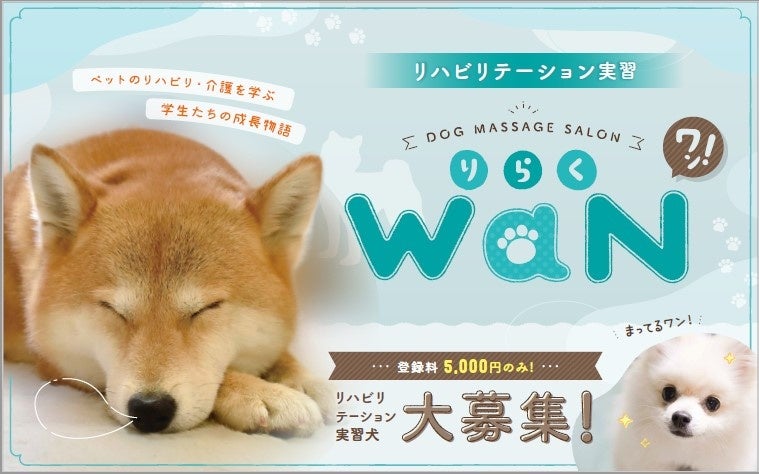 国際ペットワールド専門学校 専門学校内のドッグマッサージサロン りらくwan 22年度 新規モデル犬募集開始 nsgグループのプレスリリース 国際ペットワールド専門学校 専門学校内のドッグマッサージサロン りらくwan 22年度 新規モデル犬募集開始 nsgグループのプレスリリース
