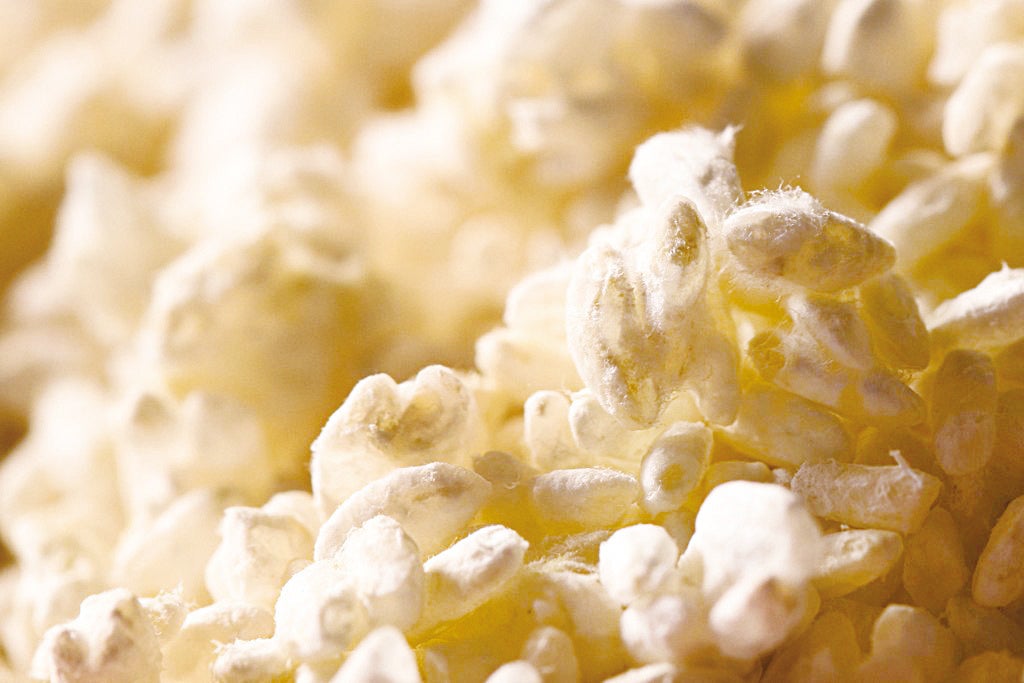 甘酒の原料である米糀