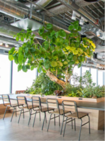 自然を感じることができるビッグテーブル※イメージ