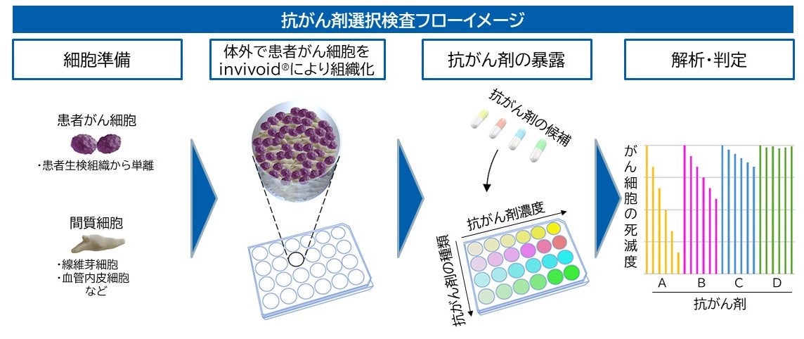 「invivoid®」による、抗がん剤選択検査フロー