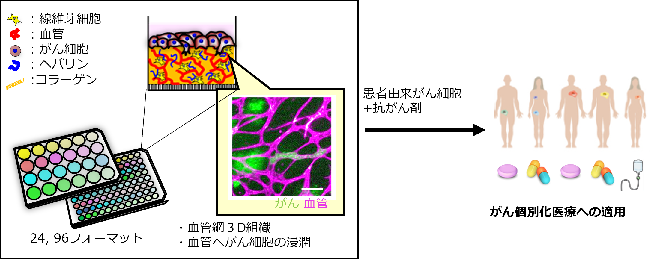 TOPPAＮホールディングス・大阪大学・がん研究会がん微小環境を体外で再現する3D細胞培養技術に関する論文が国際科学誌「Acta Biomaterialia」に掲載