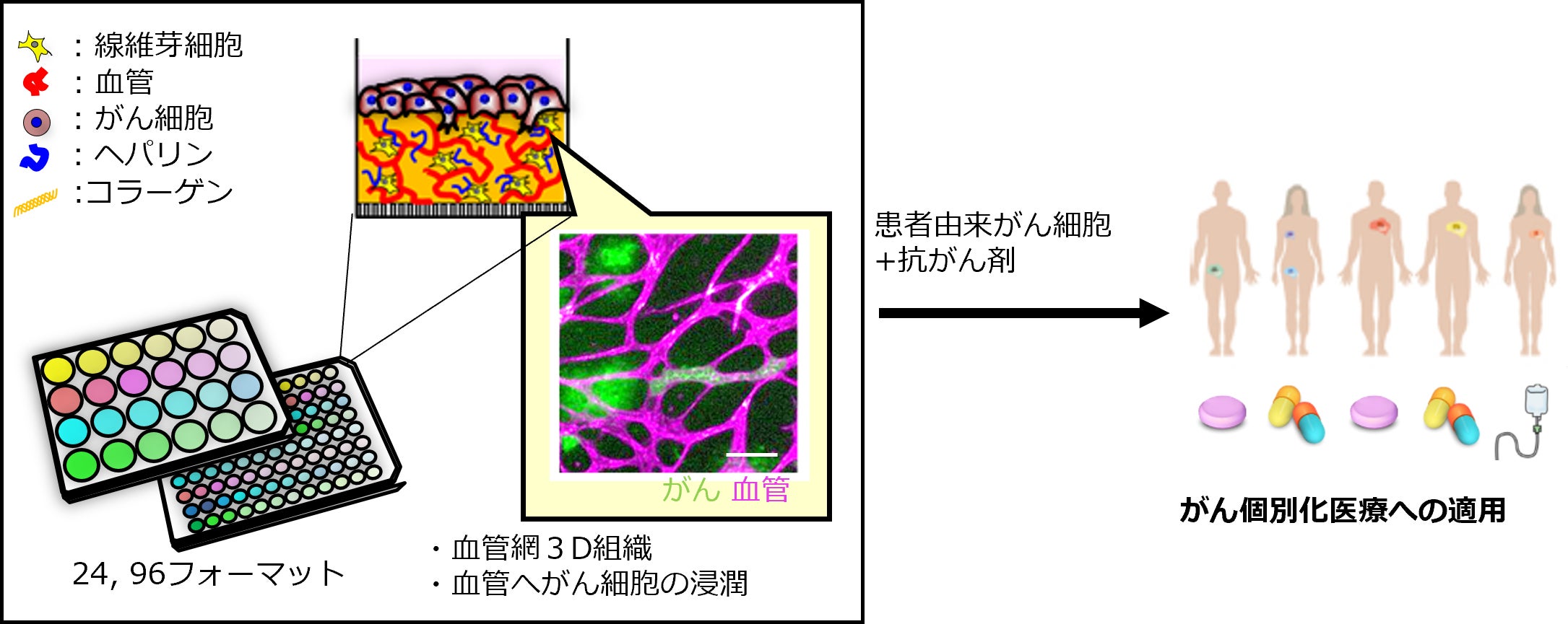 TOPPANホールディングス・大阪大学・がん研究会がん微小環境を体外で再現する3D細胞培養技術に関する論文が国際科学誌「Acta Biomaterialia」に掲載
