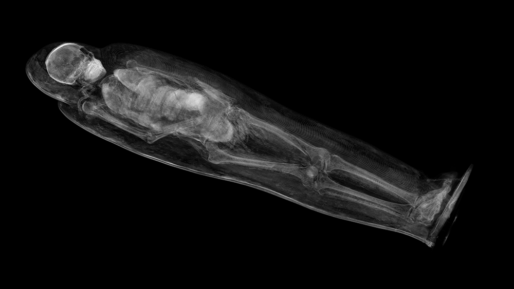 東京国立博物館と凸版印刷、古代エジプトのミイラの謎を