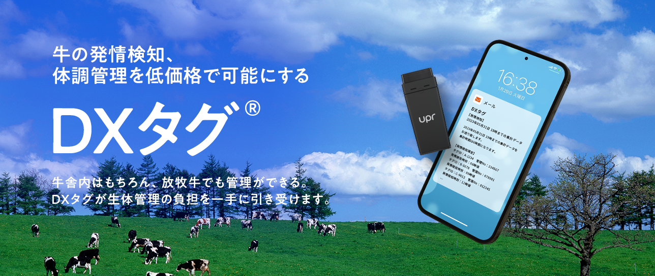 DXタグメインビジュアル