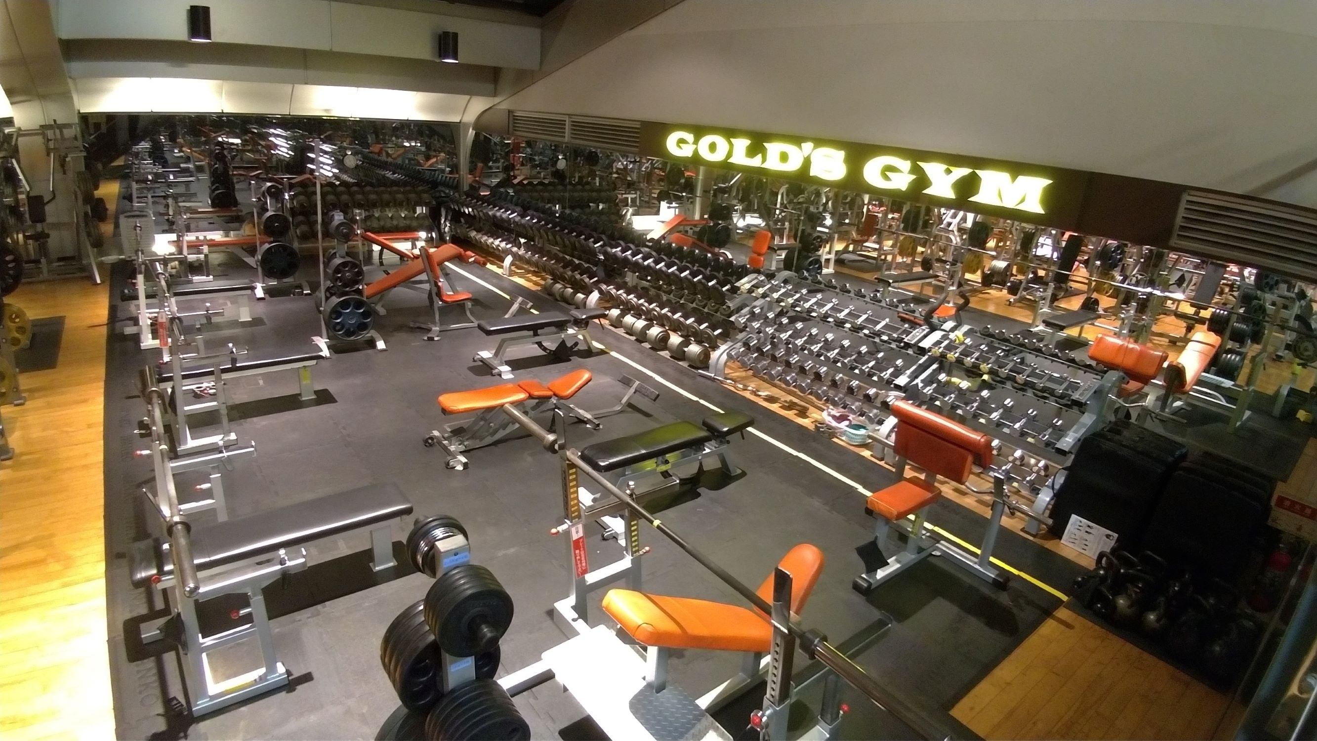 ゴールドジム北千住東京