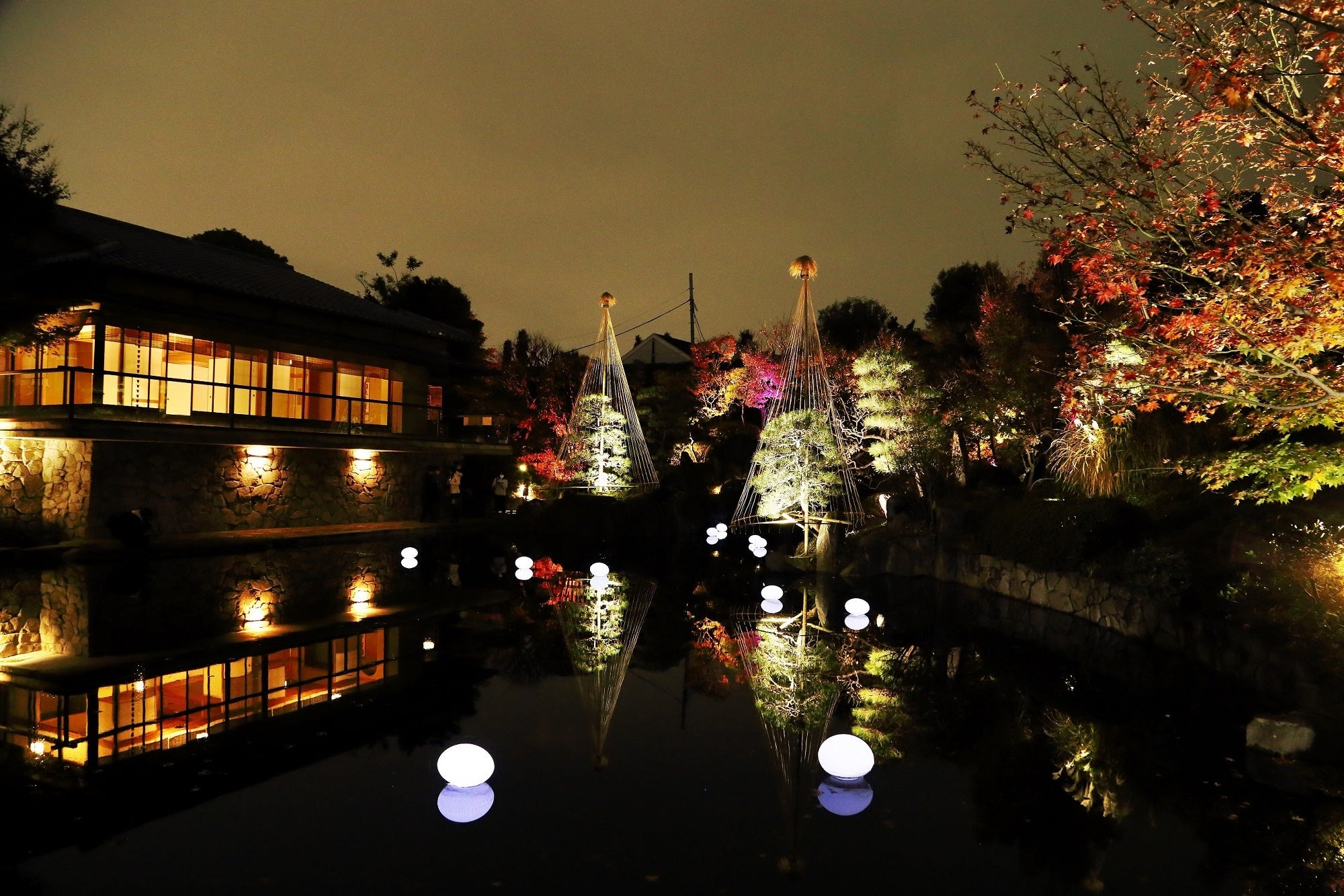 目白庭園ライトアップ（目白庭園提供）