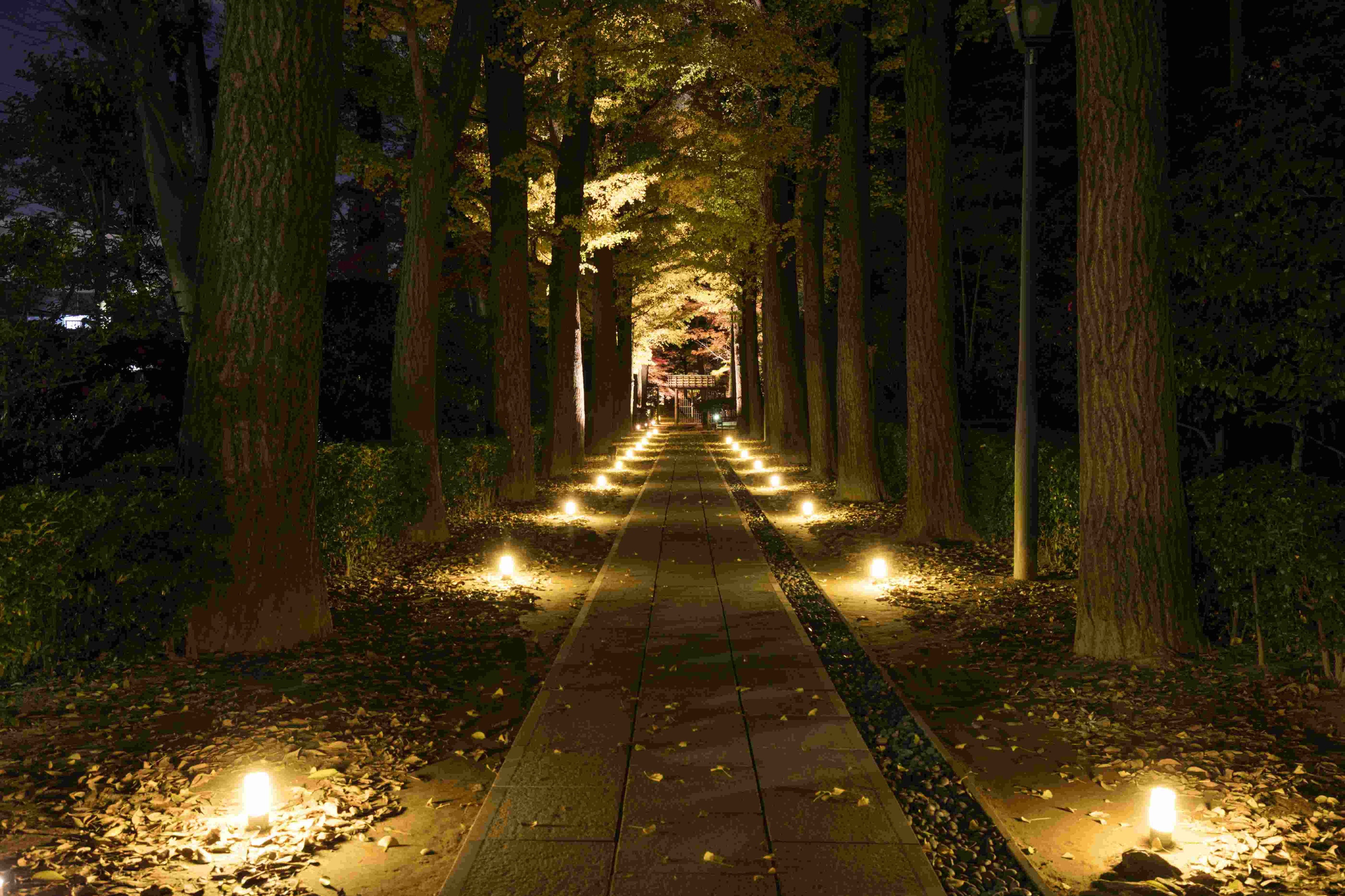 大田黒公園（杉並区提供