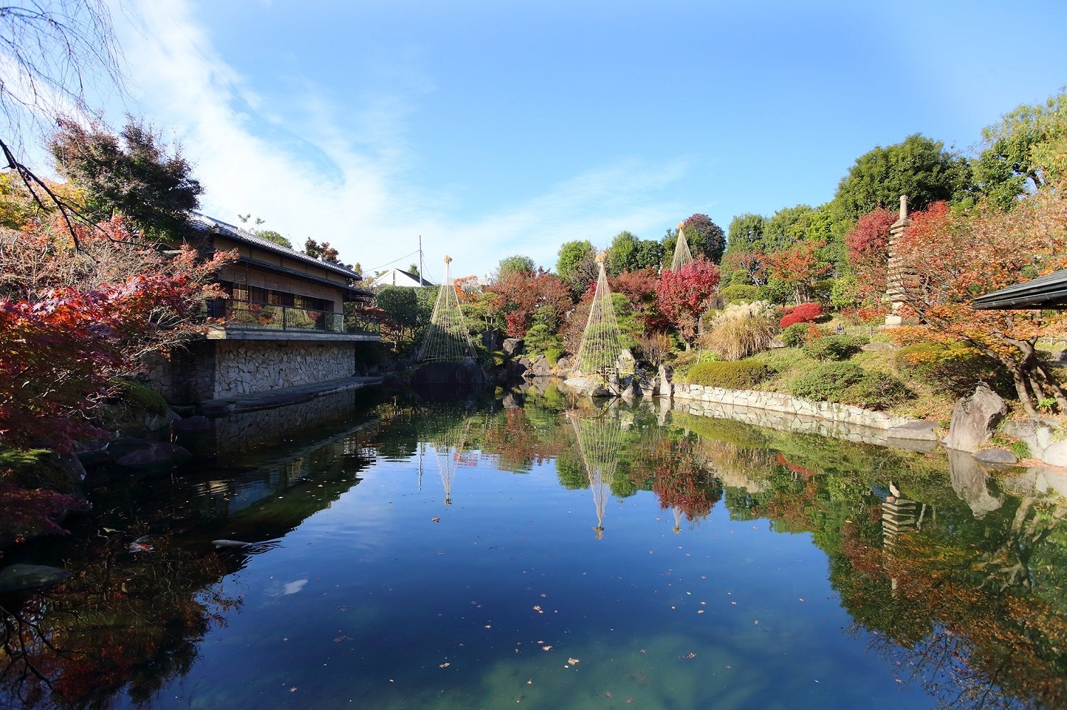 目白庭園（目白庭園提供）