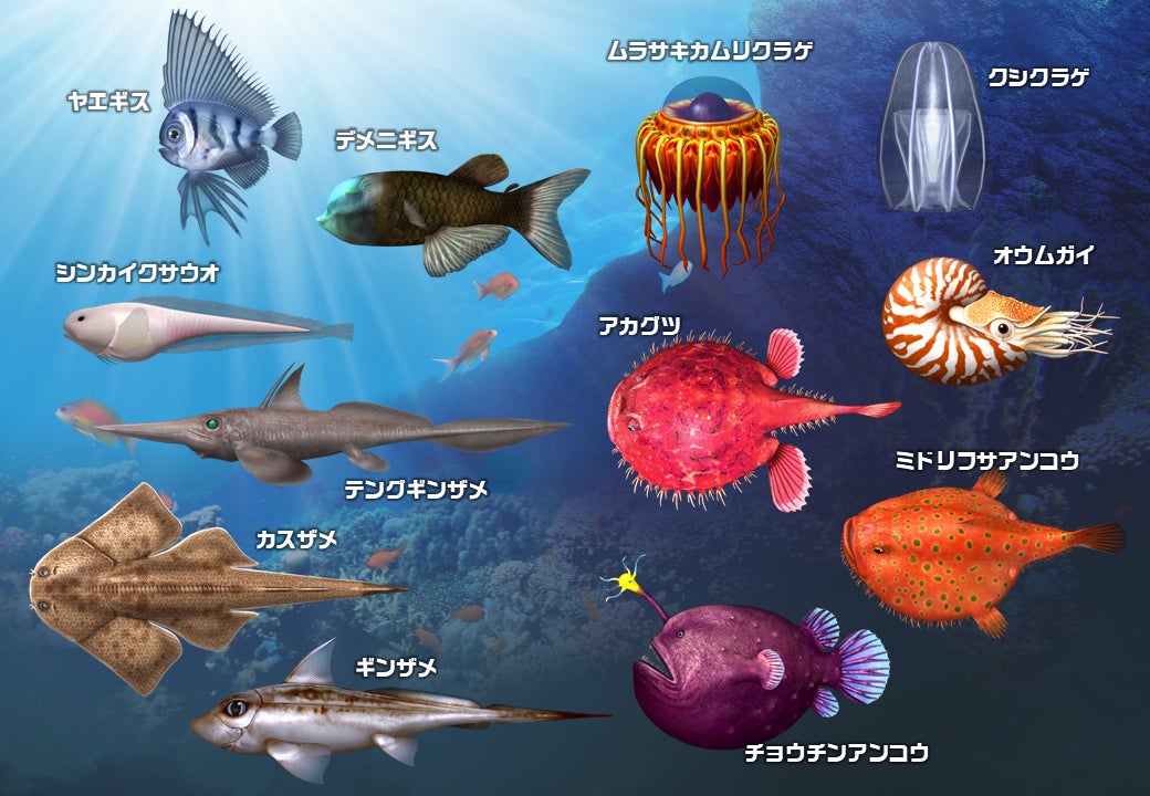 深海魚の一本釣りがゲームセンターで解禁 魚釣り体験ゲーム最新作 釣りスピリッツ シンカー 稼働開始 連載マンガに水族館でも この冬は深海魚 を釣りまくろう バンダイナムコアミューズメントのプレスリリース 深海魚の一本釣りがゲームセンターで解禁 魚釣り体験ゲーム最新作 釣りスピリッツ シンカー 稼働開始 連載マンガに水族館でも この冬は深海魚 を釣りまくろう バンダイナムコアミューズメントのプレスリリース