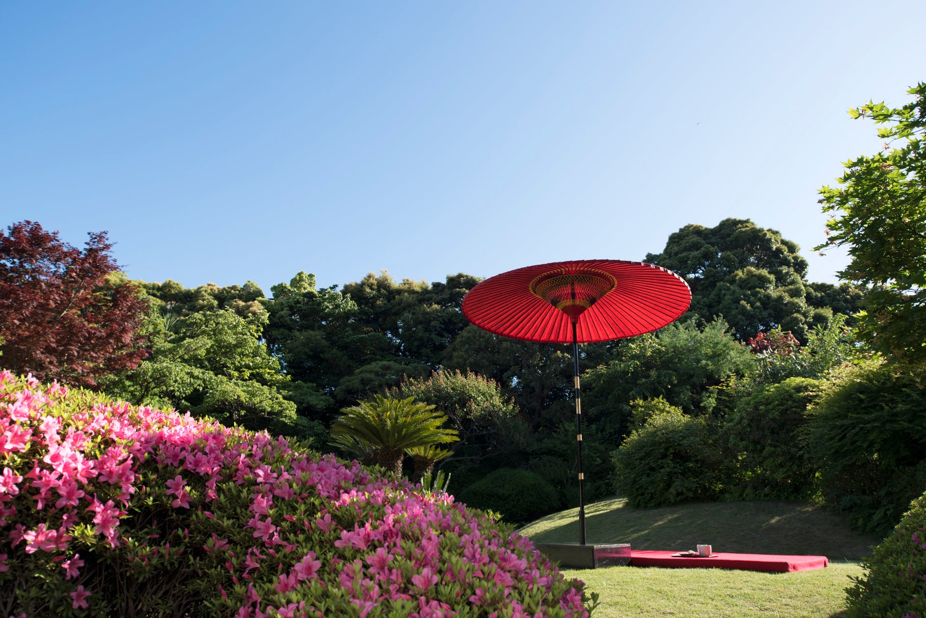 【界 伊東】伊豆の春の花が咲く日本庭園で、ゆったりと季節の移ろいを堪能する「湯上がり花見」開催 | 星野リゾートのプレスリリース
