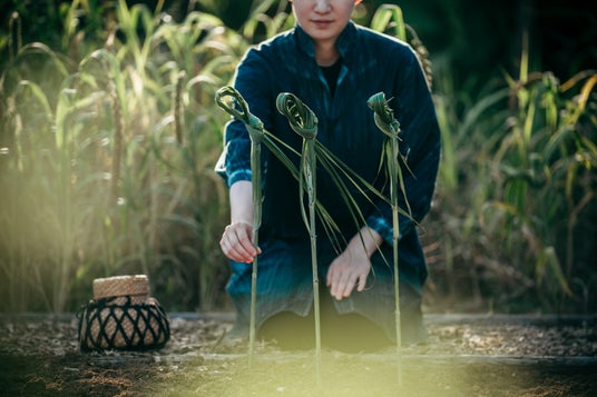 【星のや竹富島】島の文化を最も色濃く感じられる秋を堪能する「ミーニシ島時間」のご提案 【星のや竹富島】島の文化を最も色濃く感じられる秋を堪能する「ミーニシ島時間」のご提案